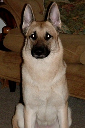 Jade sitting pretty!